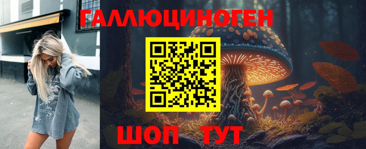 Псилоцибиновые грибы Psilocybe Вышний Волочёк